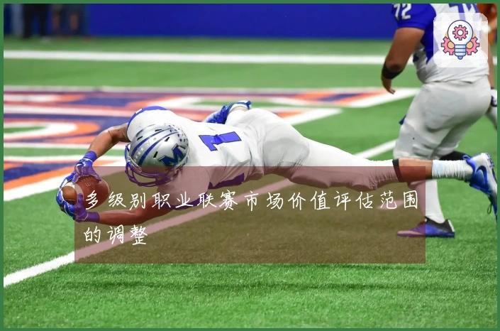 多级别职业联赛市场价值评估范围的调整